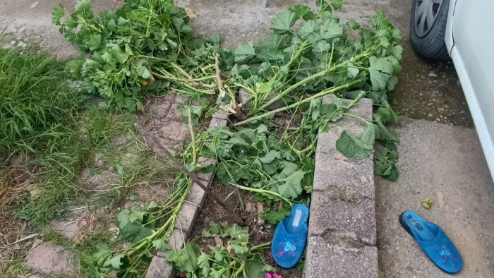 Antalya'da küçük çocuk ikinci kattan düştü, olayı kırıklarla atlattı